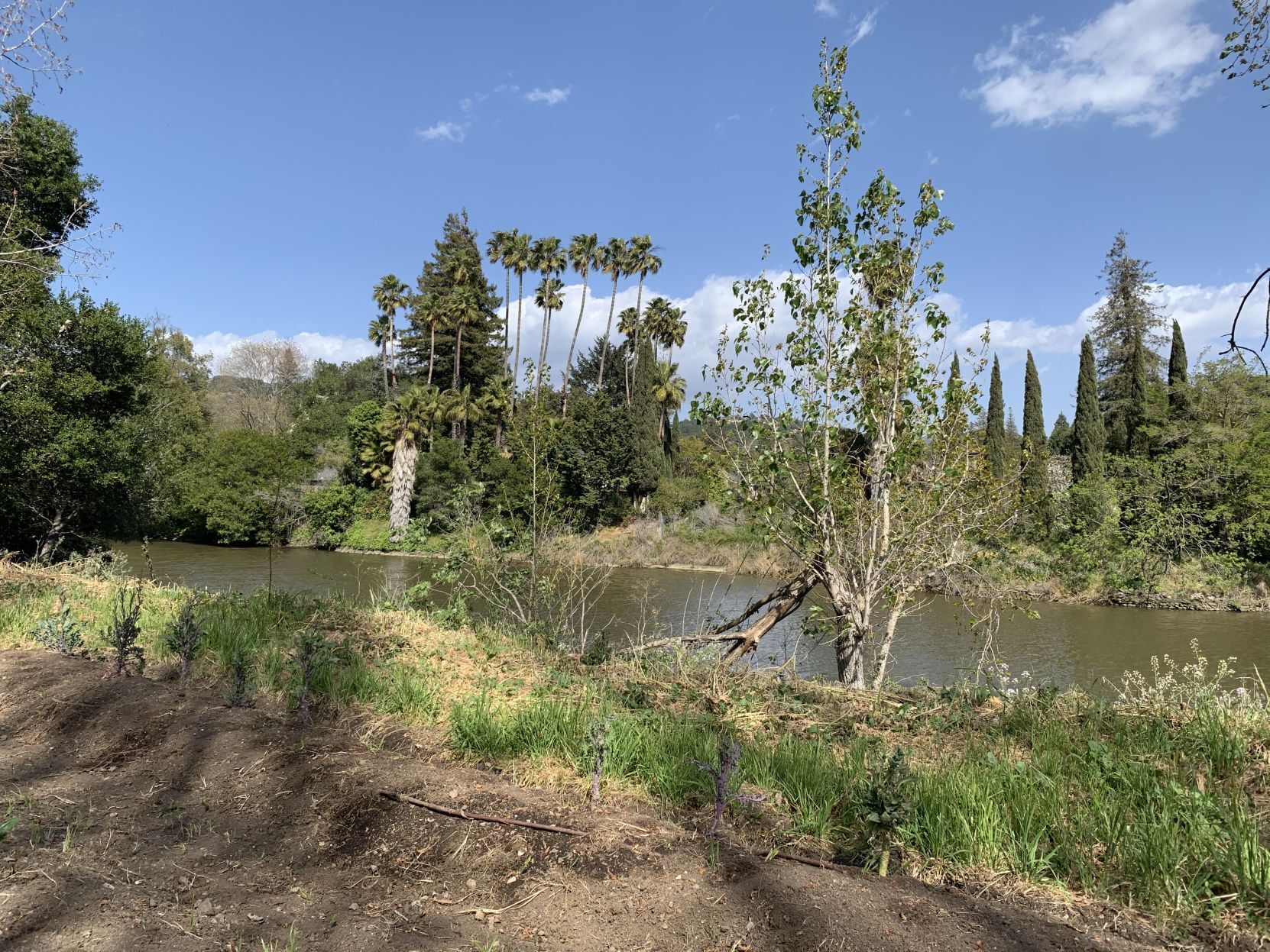 Oxbow Yard